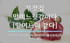 속담: 부잣집 맏며느릿감이다[맏며느리 같다]