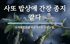 속담: 사또 밥상에 간장 종지 같다