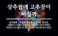 긴밀에 관한 한자/한자성어/사자성어 2개  긴밀에 관한 한자/한자성어/사자성어 2개