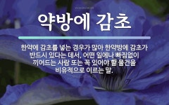 속담: 약방에 감초