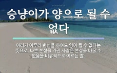 속담: 승냥이가 양으로 될 수 없다