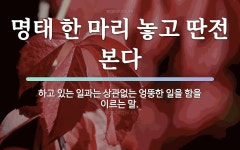 속담: 명태 한 마리 놓고 딴전 본다