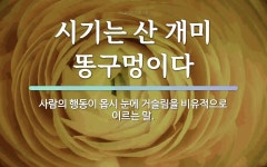 눈에 관한 명언