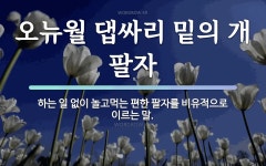 속담: 오뉴월 댑싸리 밑의 개 팔자