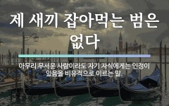 속담: 제 새끼 잡아먹는 범은 없다