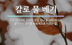 속담: 칼로 물 베기