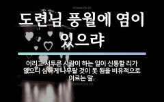속담: 도련님 풍월에 염이 있으랴