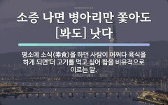 속담: 소증 나면 병아리만 쫓아도[봐도] 낫다