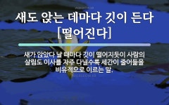 속담: 새도 앉는 데마다 깃이 든다[떨어진다]