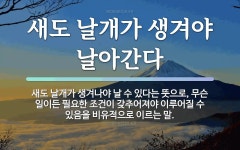 속담: 새도 날개가 생겨야 날아간다