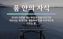 속담: 품 안의 자식