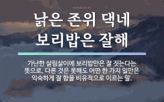 속담: 낡은 존위 댁네 보리밥은 잘해