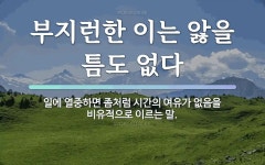 속담: 부지런한 이는 앓을 틈도 없다