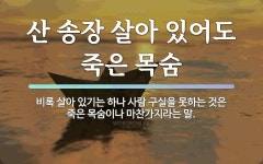 속담: 산 송장 살아 있어도 죽은 목숨