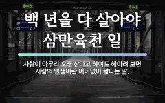 속담: 백 년을 다 살아야 삼만육천 일