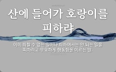 무모에 관한 명언