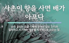 속담: 사촌이 땅을 사면 배가 아프다