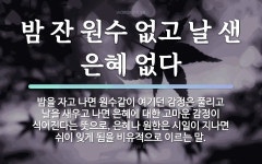 감정에 관한 명언