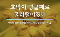 넝쿨에 관한 명언