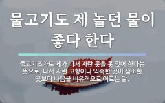 속담: 물고기도 제 놀던 물이 좋다 한다