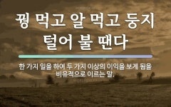 속담: 꿩 먹고 알 먹고 둥지 털어 불 땐다