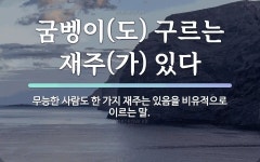 속담: 굼벵이(도) 구르는 재주(가) 있다