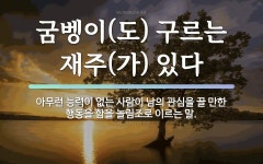 속담: 굼벵이(도) 구르는 재주(가) 있다