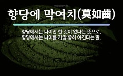 속담: 향당에 막여치(莫如齒)