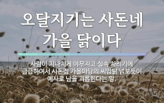 속담: 오달지기는 사돈네 가을 닭이다