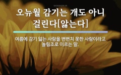감기에 관한 명언