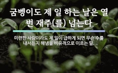 속담: 굼벵이도 제 일 하는 날은 열 번 재주(를) 넘는다