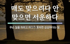 속담: 매도 맞으려다 안 맞으면 서운하다