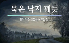 속담: 묵은 낙지 꿰듯