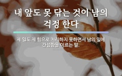 속담: 내 앞도 못 닦는 것이 남의 걱정 한다
