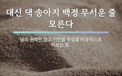 남에 관한 명언