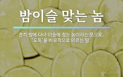 속담: 밤이슬 맞는 놈