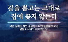속담: 칼을 뽑고는 그대로 집에 꽂지 않는다
