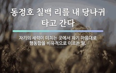 속담: 동정호 칠백 리를 내 당나귀 타고 간다