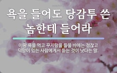 속담: 욕을 들어도 당감투 쓴 놈한테 들어라