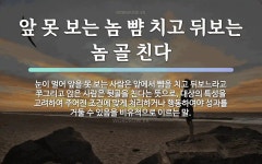 속담: 앞 못 보는 놈 뺨 치고 뒤보는 놈 골 친다