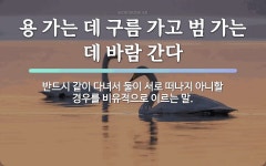 속담: 용 가는 데 구름 가고 범 가는 데 바람 간다