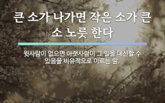 속담: 큰 소가 나가면 작은 소가 큰 소 노릇 한다