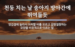 속담: 천둥 치는 날 송아지 방아간에 뛰여들듯