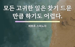 모든 고귀한 일은 찾기 드문만큼 하기도 어렵다. - 바뤼흐 스피노자의 명언