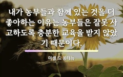 "사고"에 관한 명언
