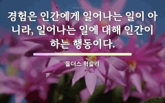 올더스 헉슬리의 명언