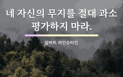 무지에 관한 명언