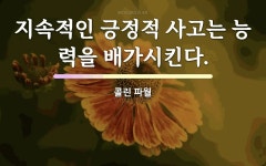 배가에 관한 명언