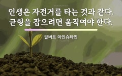 자전거에 관한 명언