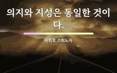 지성에 관한 명언